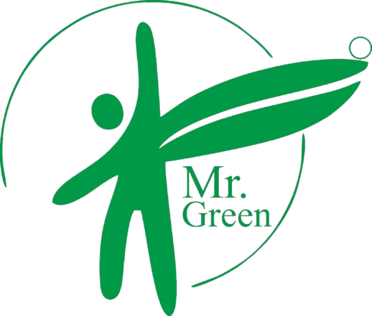 Mr Green